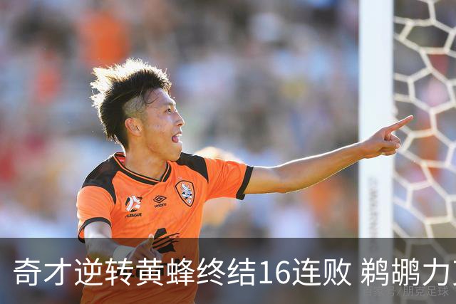 奇才逆转黄蜂终结16连败 鹈鹕力克76人3连胜